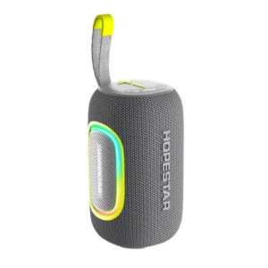 GoBeat Portable Speaker - P65 - Gray